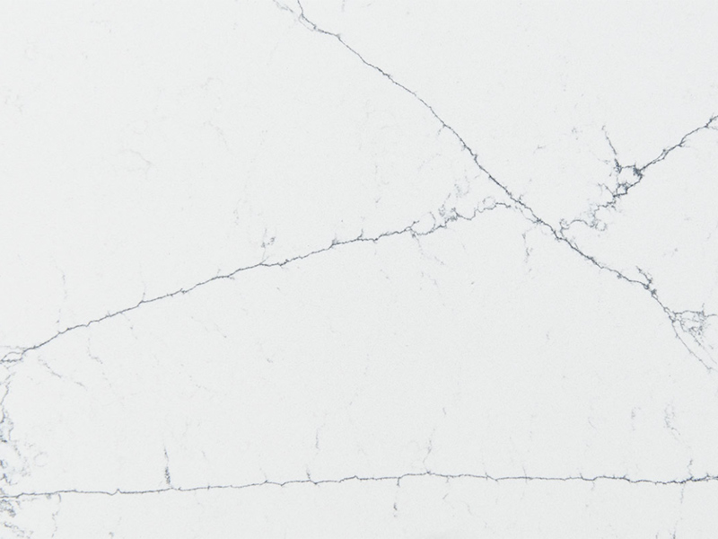 Calacatta Montage Quartz Surface