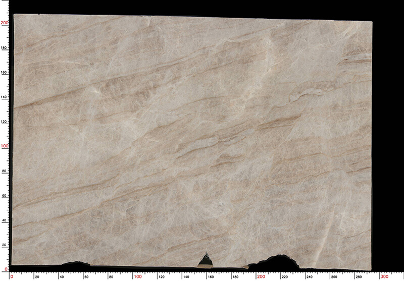 Taj Mahal New Arrival