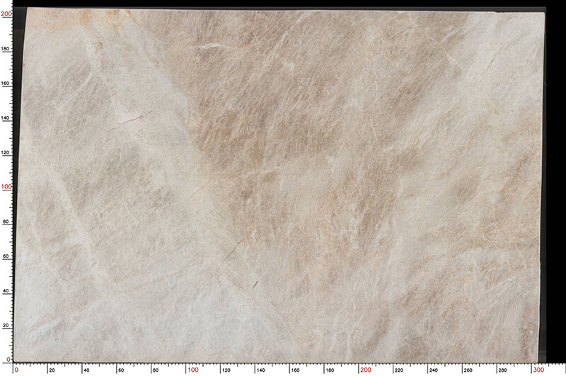 Taj Mahal New Arrival