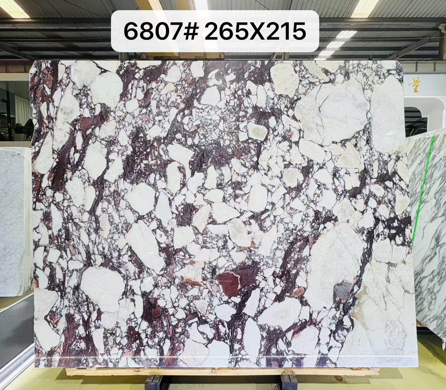 Italian Calacatta Viola marble slab with creamy-white fields and saturated wine-red burgundy breccia