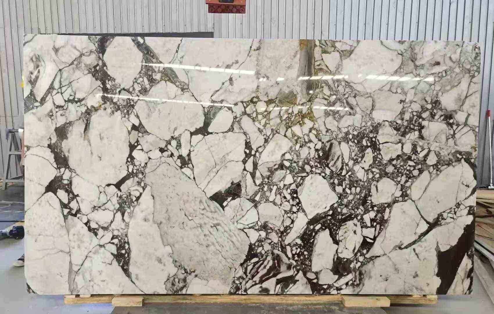 Turkish Calacatta Viola marble slab with dense dark breccia surrounding creamy-white fragments
