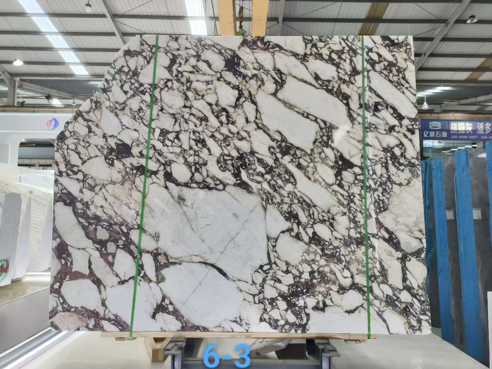 Italian Calacatta Viola marble slab with dark burgundy-black breccia and broad creamy-white areas