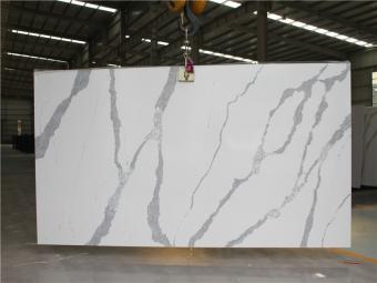 Calacatta White Quartz 8819