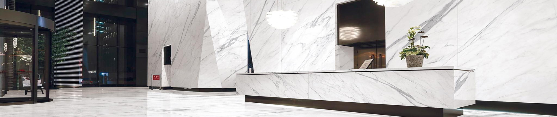 Carrara White Marble for Wall and Floor