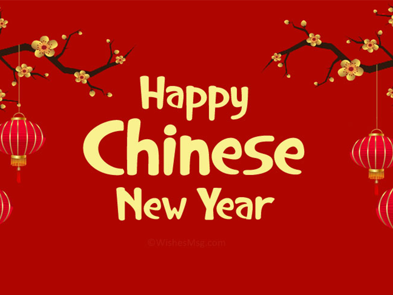 Happy Chinese Lunar Year